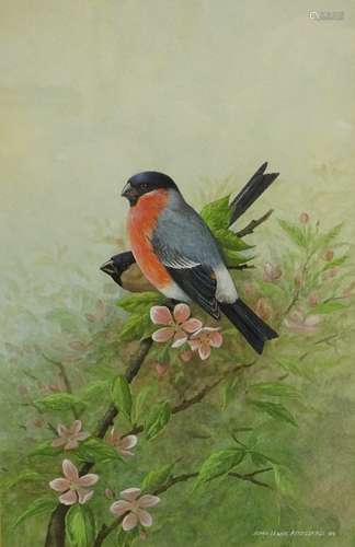 •John Lewis Fitzgerald (b1945). A pair of Bullfinches amid apple blossom, watercolour with body