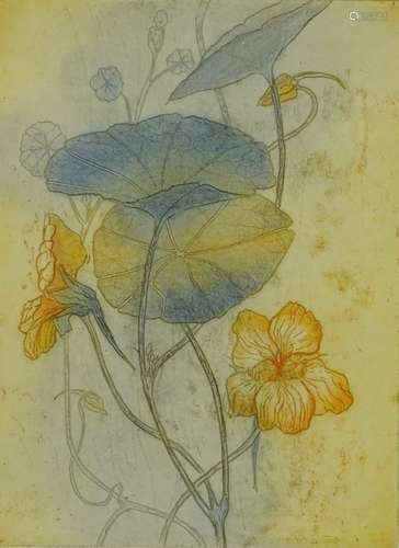 •Choloe Hillary Gear. Nasturtium-Gloria, artist signed coloured etching, 19/75, 33cm x 23cm and