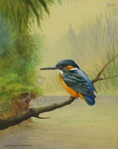 •John Lewis Fitzgerald (b.1945). Study of a Kingfisher perches on a branch above a river,