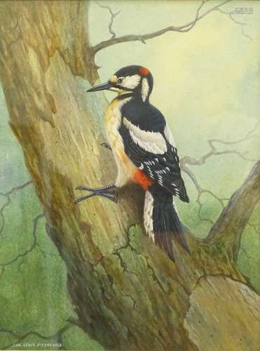 •John Lewis Fitzgerald (b.1945). Study of a Great Spotted Woodpecker on a tree trunk, watercolour