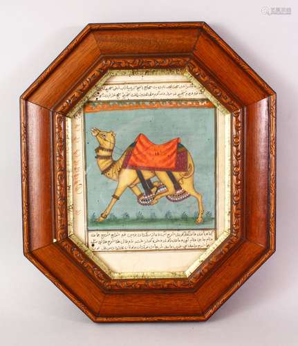 A GOOD 18TH / 19TH CENTURY FRAMED INDIAN MUGHAL / PERSIAN PAINTING OF A CAMEL, the camel painted