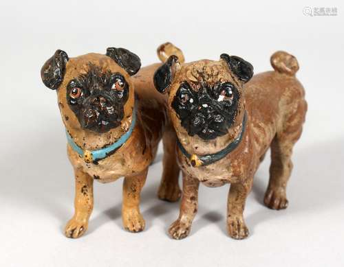 A GOOD PAIR OF PAINTED BRONZE COLD CAST PUG DOG INKWELLS. 4ins long.