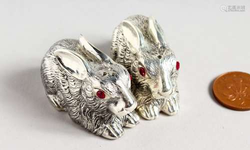 A PAIR OF CAST SILVER PLATED NOVELTY RABBIT SALT AND PEPPERS.