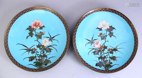 A PAIR OF JAPANESE MEIJI PERIOD CLOISONNE DISHES - the dishes with a sky blue glaze with scenes of