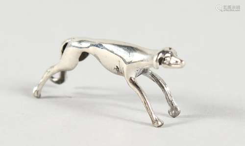 A MINIATURE SILVER GREYHOUND. 1.25ins long.