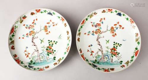 A GOOD PAIR OF CHNESE KANGXI STYLE FAMILLE VERTE PLATES, finely decorated with birds amongst