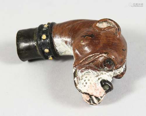 A PAINTED COLD CAST BRONZE BOXER DOG CANE HANDLE. 2.5ins.