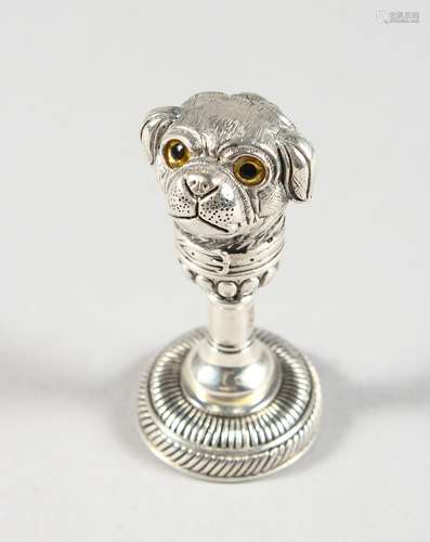 A .800 SILVER PUG DOG SEAL with glass eyes. 2ins long.