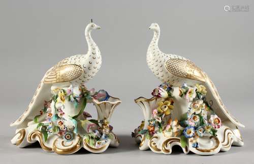 A PAIR OF PORCELAIN GROUPS OF GILT DECORATED WHITE PEACOCKS, on flower encrusted bases. 7ins high.