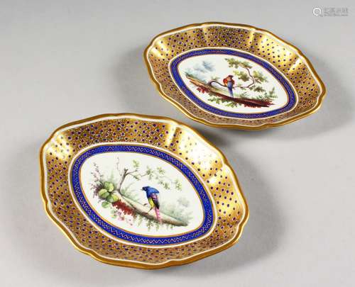 A SEVRES PAIR OF SHAPED OVAL DISHES, painted with birds in a landscape under an elaborate blue and