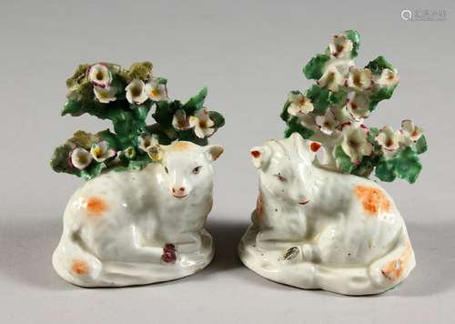 A PAIR OF 18TH CENTURY DERBY RECUMBENT SHEEP, decorated in natural colours.