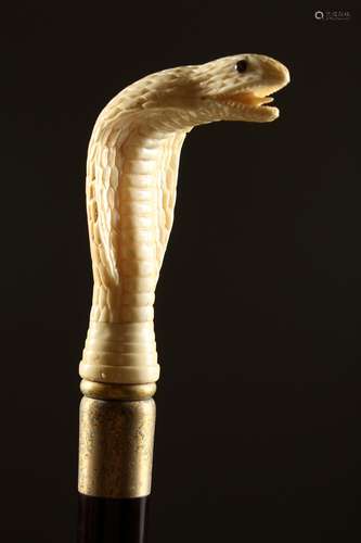 A BONE HANDLED WALKING STICK, carved as a cobra. 35.5ins long.