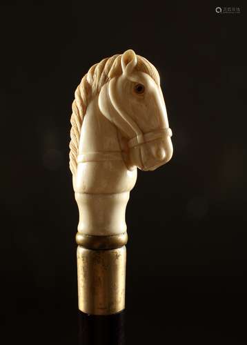 A BONE HANDLED WALKING STICK, carved as a horse. 36ins long.