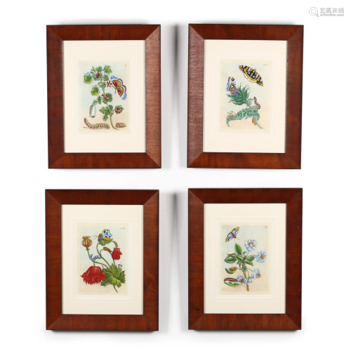 Group of Four Butterfly and Floral Botanical Prints
