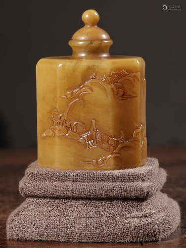 A SOAPSTONE CARVED SNUFF BOTTLE