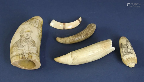 Scrimshawed Whales Teeth and Rams Horn