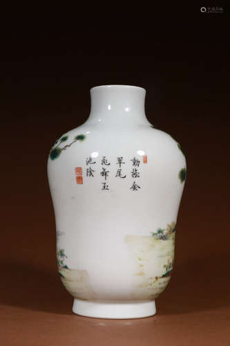 A Chinese Peacock Painted Porcelain Vase