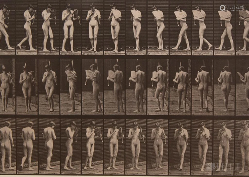 Eadweard Muybridge Early Nude Locomotion Collotype