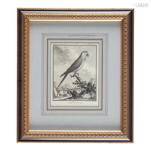 Pair of French ornithological prints, Circa 17…