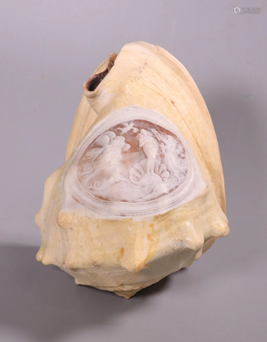 Italian 1900 Shell Cameo Botticelli Birth Venus