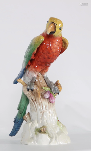 German 19 C Meissen style Porcelain Macaw Parrot