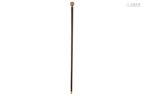 Antique Silver Topped Cane