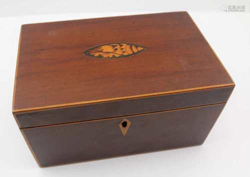 A 19TH CENTURY MAHOGANY TEA CADDY, having hinged lid inset shell patera, opening to reveal two inner