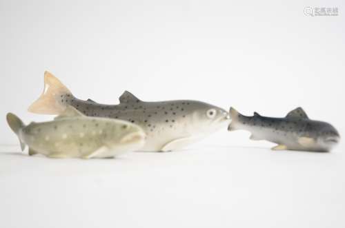 A Royal Copenhagen porcelain model of a Rainbow Trout, no. 2676, together with another smaller