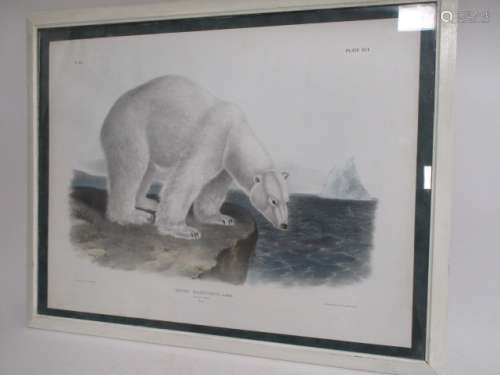 A J.W Audubon 19th century polar bear print, with Rowland Ward gallery London label to verso,