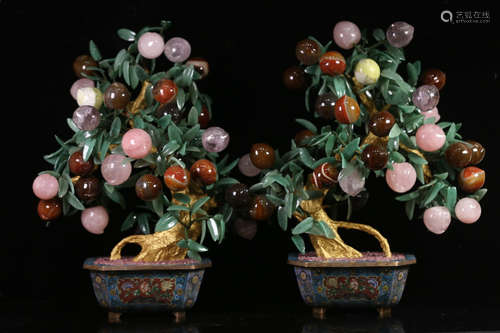 A Pair of Chinese Peach Bonsai