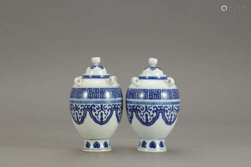 A Pair of Chinese Blue and White Floral Porcelain Jar with Cover