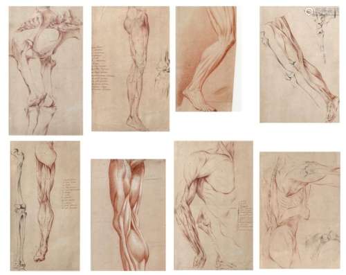 French School, XVIII XIXth Set of eight anatomical…