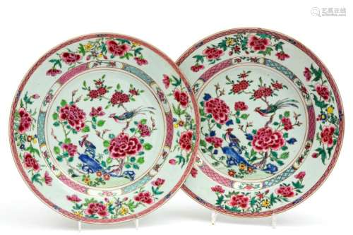 Two large famille rose bird plates