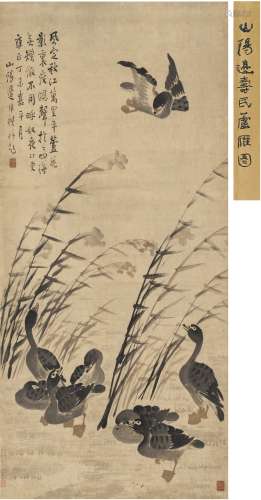 边寿民（1684～1752） 芦花鸿声图