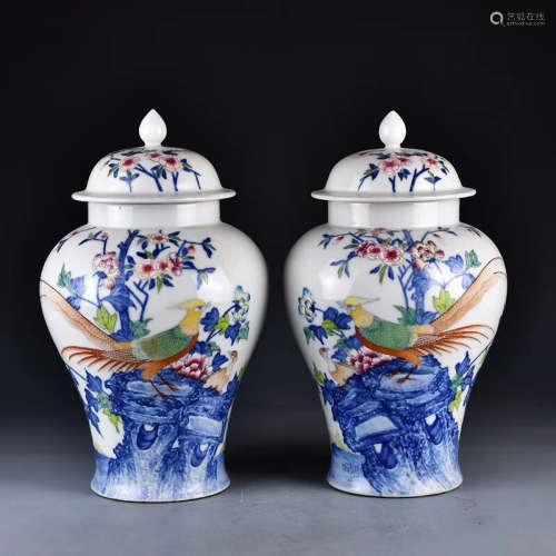 A Pair ofChinese Blue and White Flower&Bird Pattern Porcelain Jar