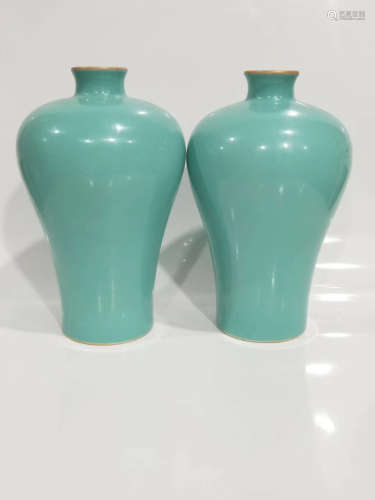 A Chinese viridis Glazed Porcelain Vase
