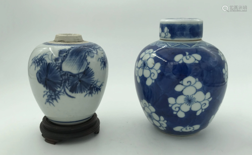 Two Chinese Blue and White Jars, 19th C.
