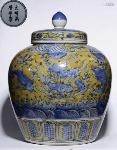 A BLUE&WHITE GLAZE JAR PAINTED WITH FLOWER AND FISH PATTERN