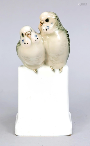 Pair of budgies, Rosentha