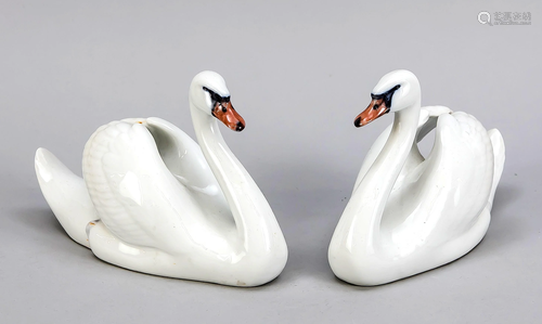 A pair of swans, Royal Co