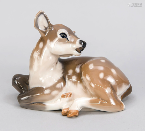 Reclining fawn, Royal Cop