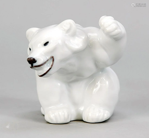 Polar Bear, Royal Copenha