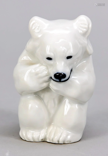 Polar Bear, Royal Copenha