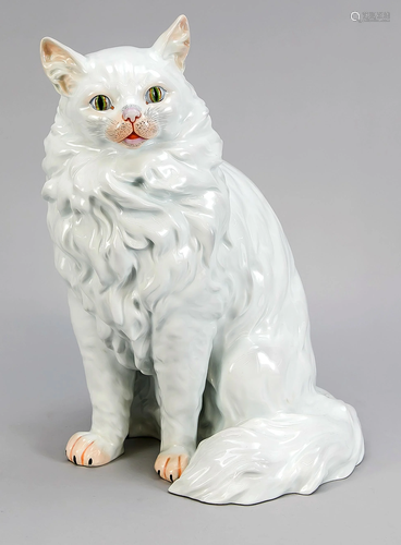 Seated Angora cat, Potsch