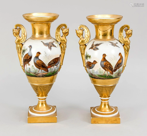 A pair of splendid vases,