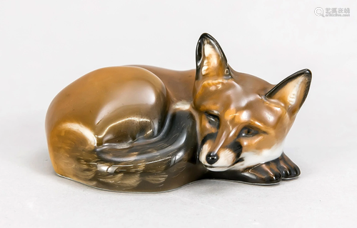 Resting fox, Rosenthal, S