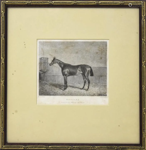 Horse / Equestrian Print Titled Proof of Bottom