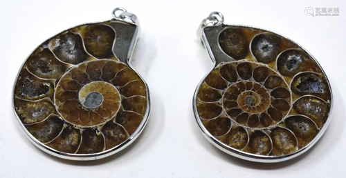 Pair of Ammonite Fossil Mounted Necklace Pendants