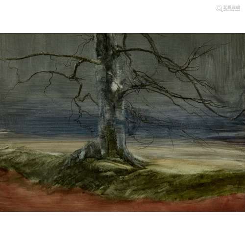 § JAMES MORRISON R.S.A., R.S.W., L.L.D. (SCOTTISH B.1932) TREE STUDY