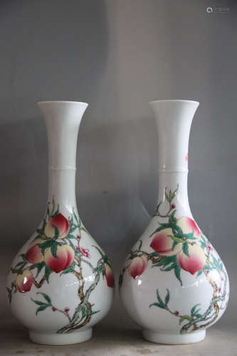 A Chinese Famille Rose Porcelain Vase